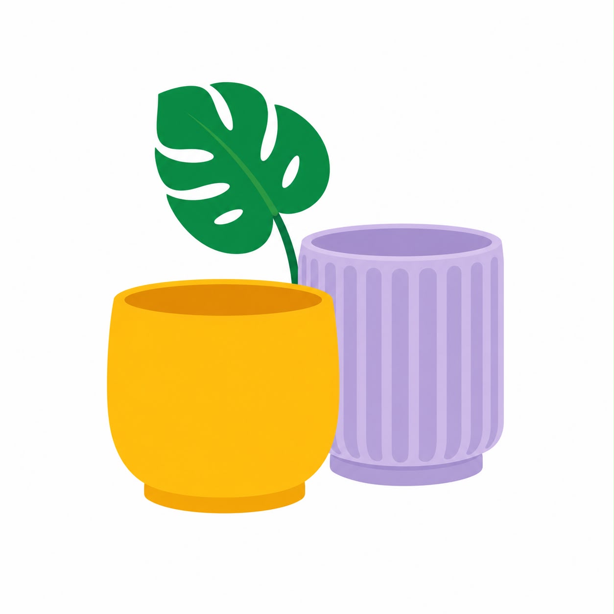 Pots & Planters