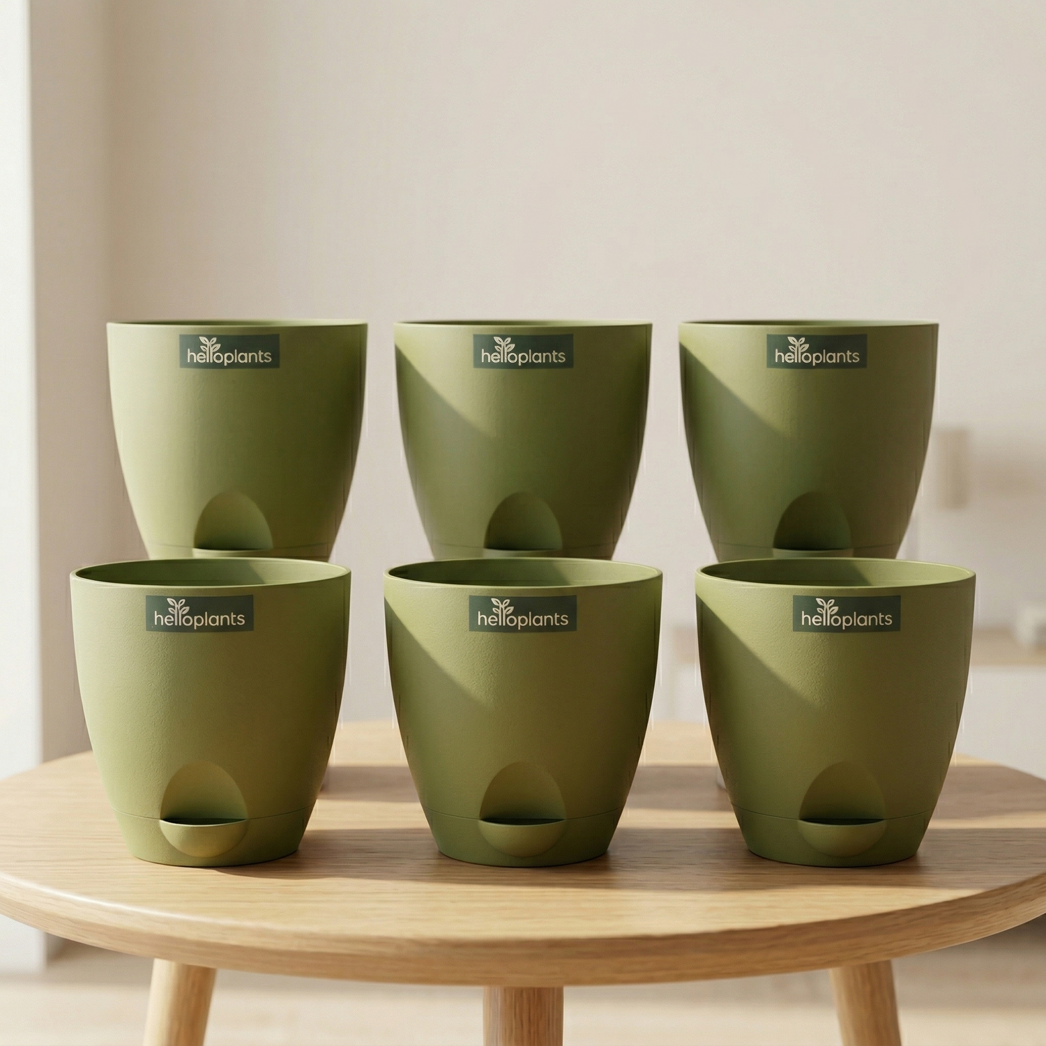 Aqua Ten – Matt Green (Self-Watering)