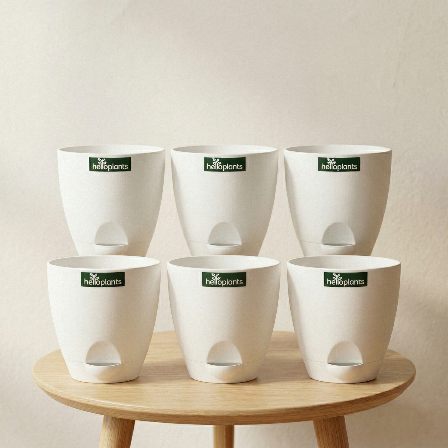 Aqua Ten – Glossy White (Self-Watering)