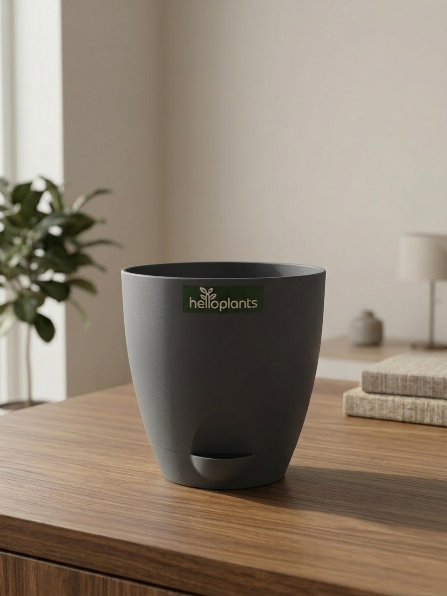 Aqua Ten – Matte Grey (Self-Watering)