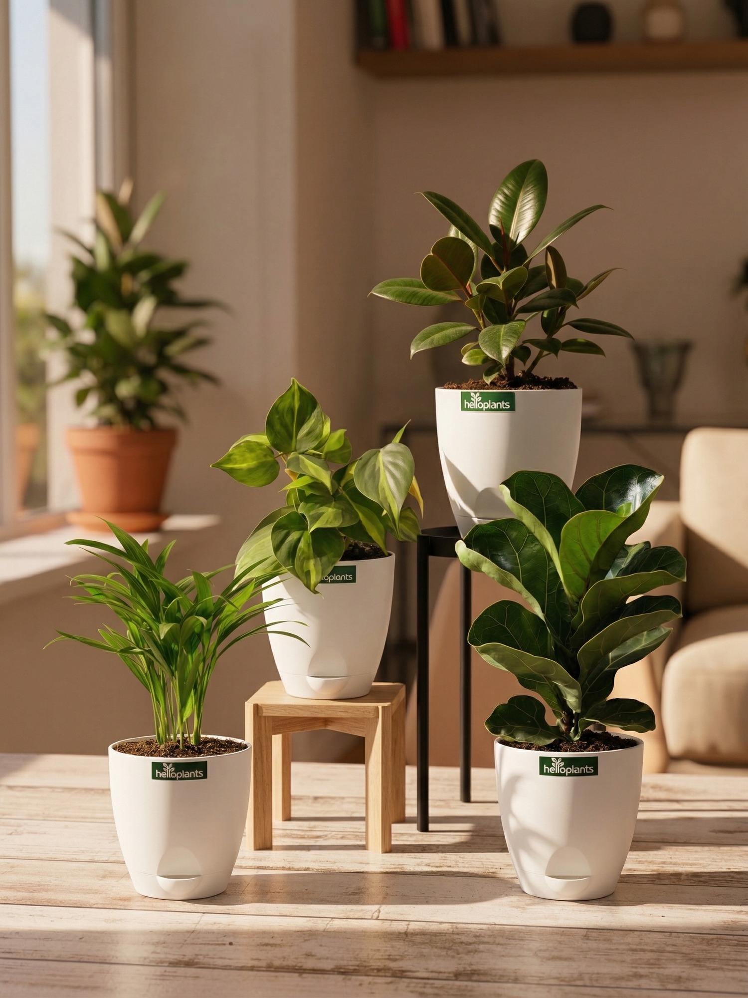 The Living Room Statement Set