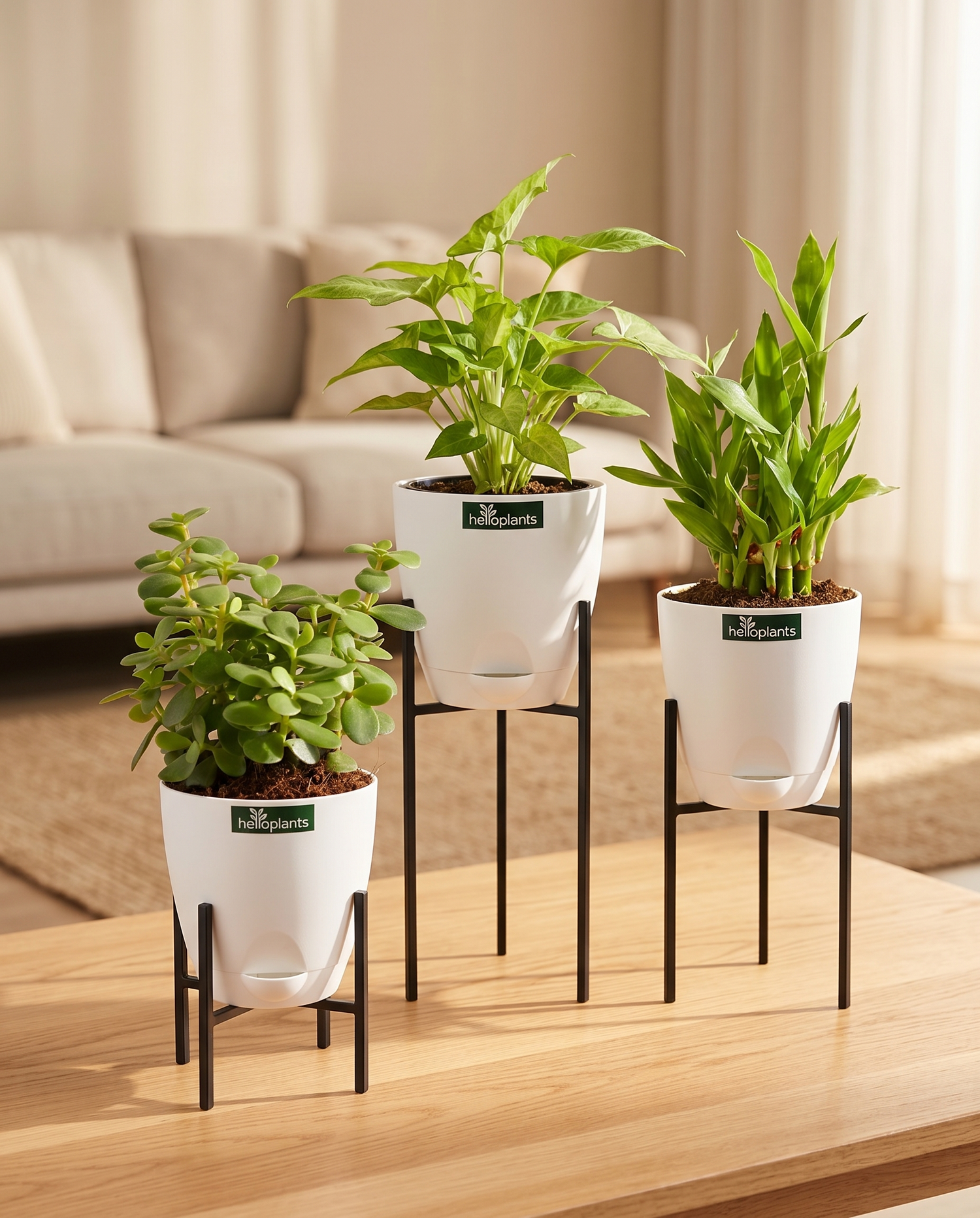 The Harmony Elements Set