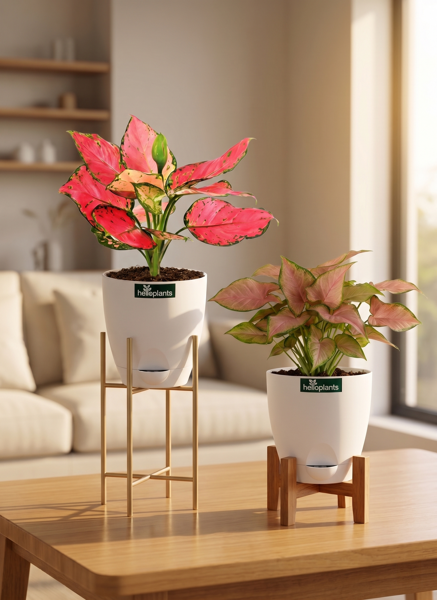 The Pink Blush Pair