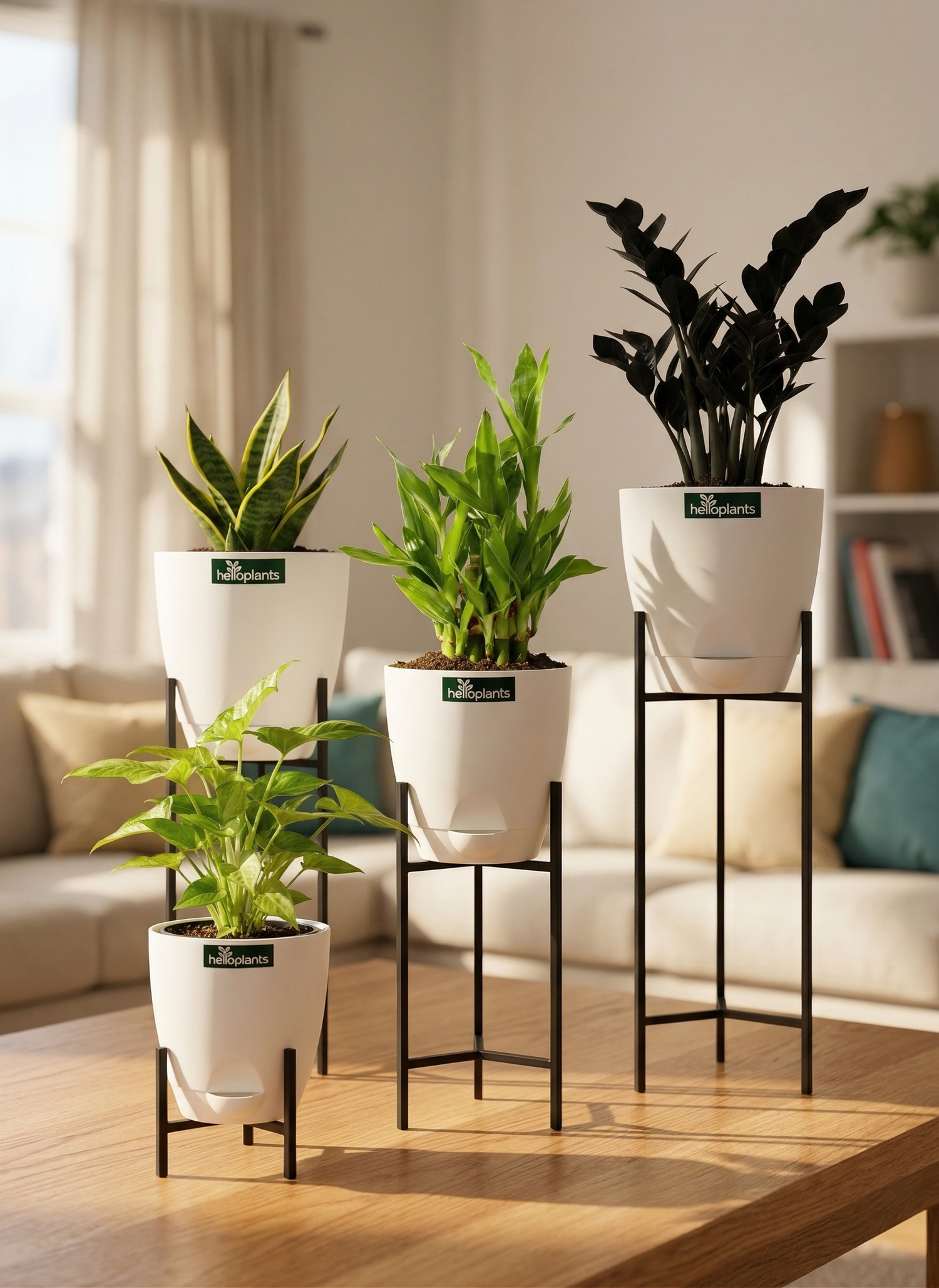 The Micro-Jungle Bundle