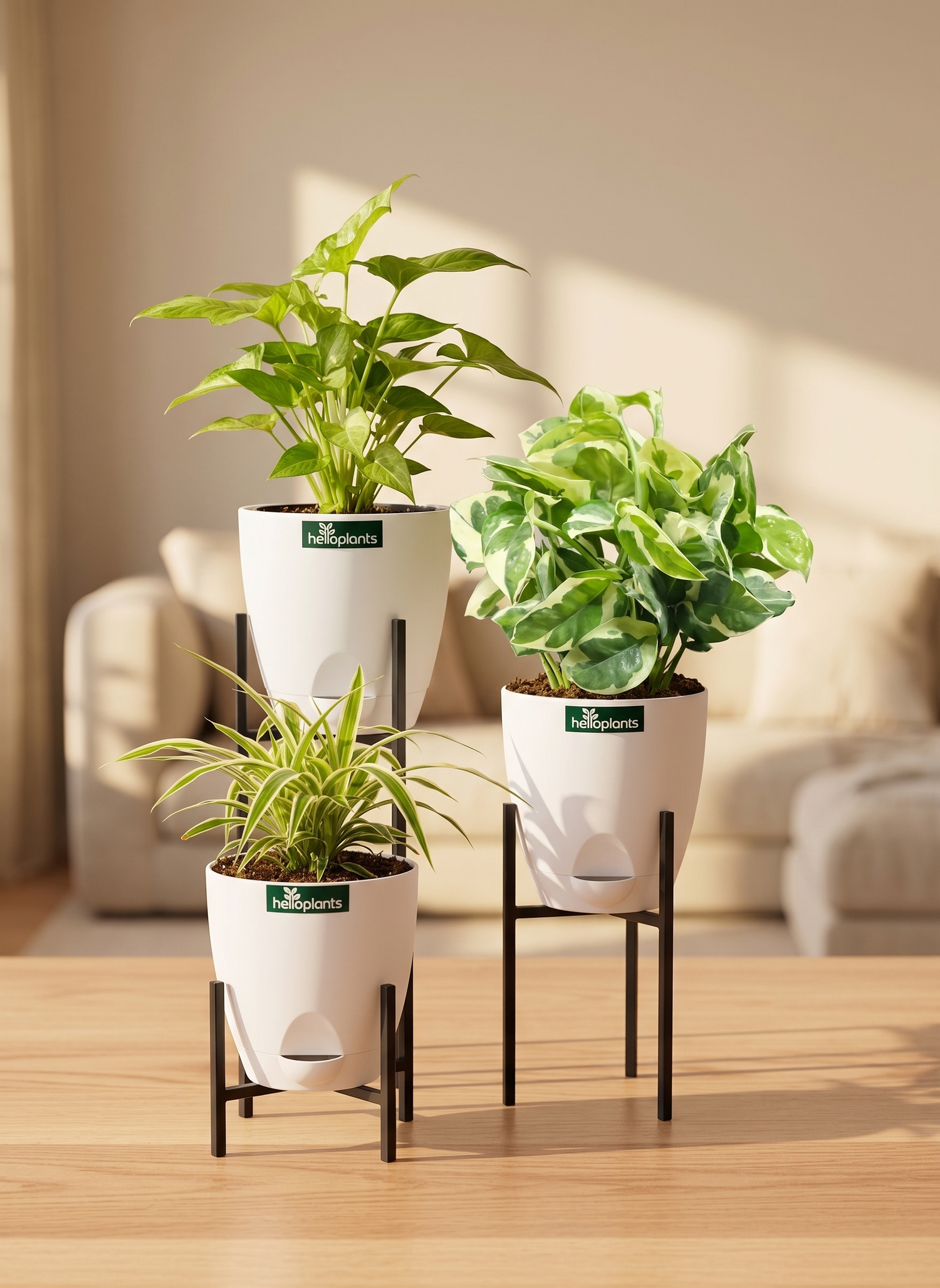 The Classic Greenery Bundle