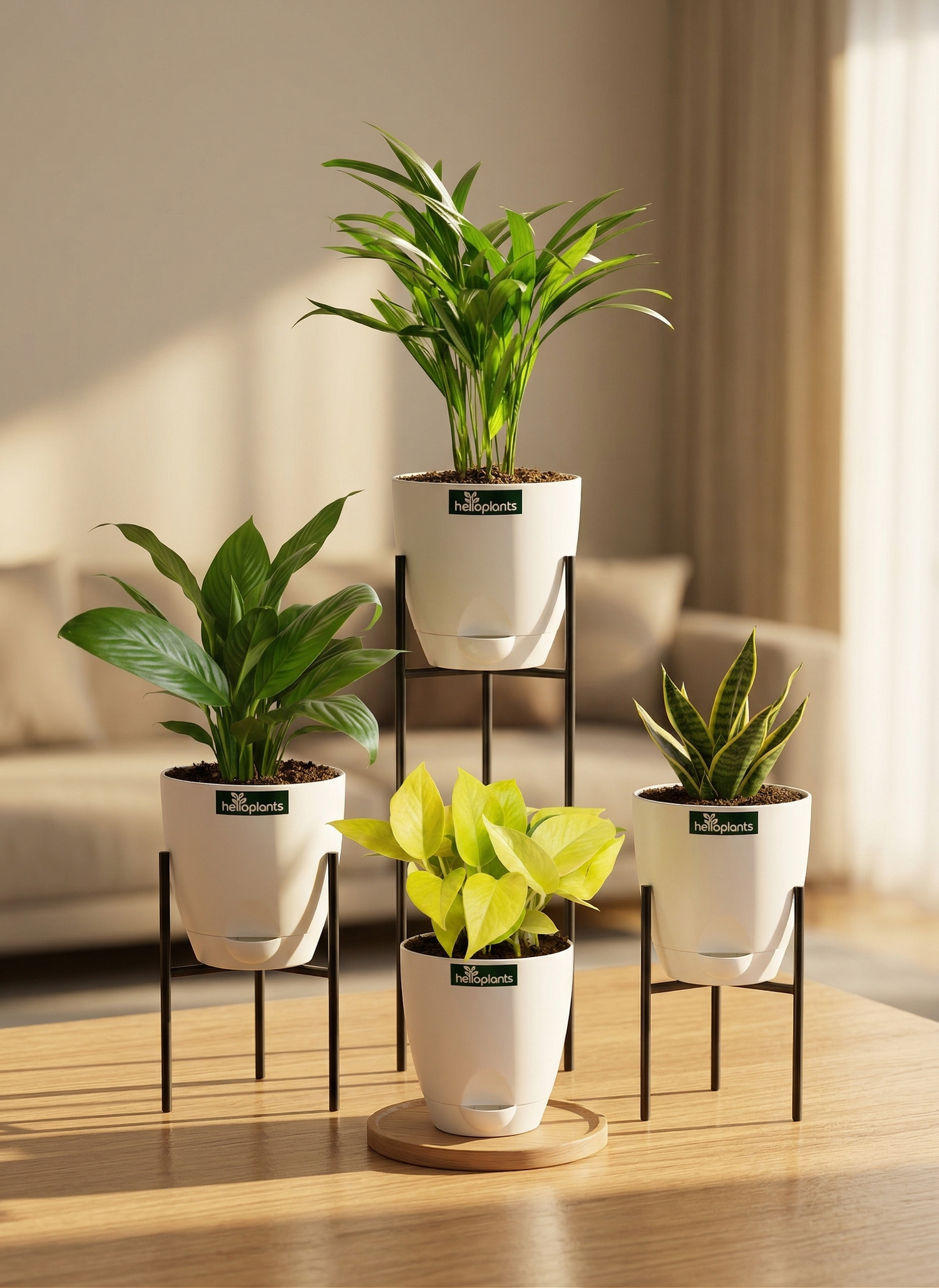 The Pure Air Sanctuary Bundle